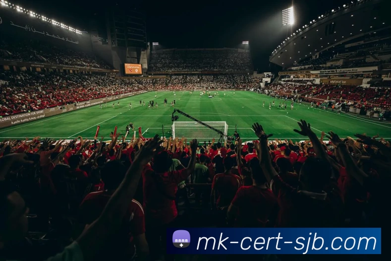 MK认证，MK认证，MK官网，MK安全入口，MK APPAPP 体育赛事宣传图